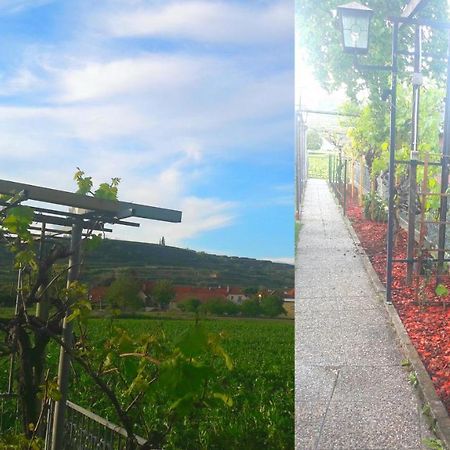 Pansion Brda Lejlighed Rohrendorf bei Krems Eksteriør billede